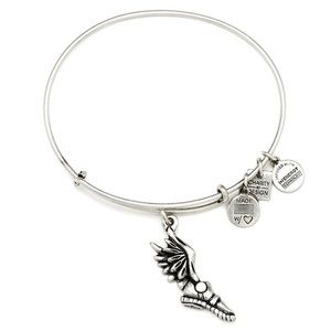 Alex and Ani Champion Bracelet